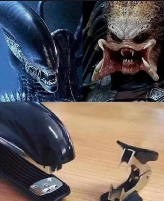 真相原来是这样的