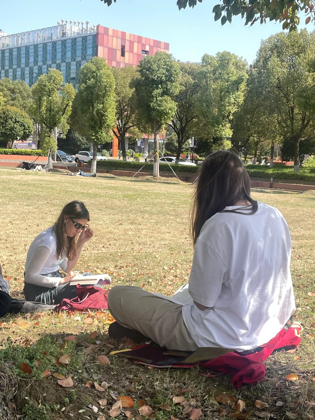 洋人真tm有该死的松弛感啊
学校里的草坪真是老外的统治区，在阳光下看书📖、抽烟