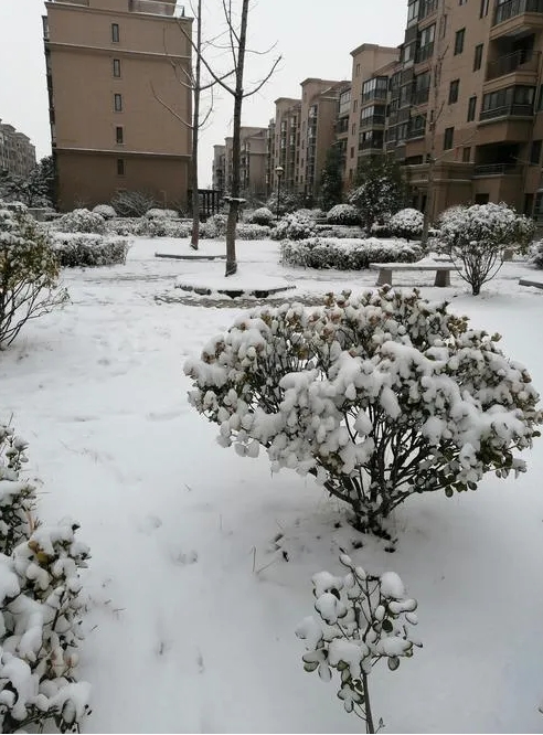 下雪了，以为今年冬天不会下雪了哩，谁知道，年过初三小雪降，就是下得太小了，挡不住