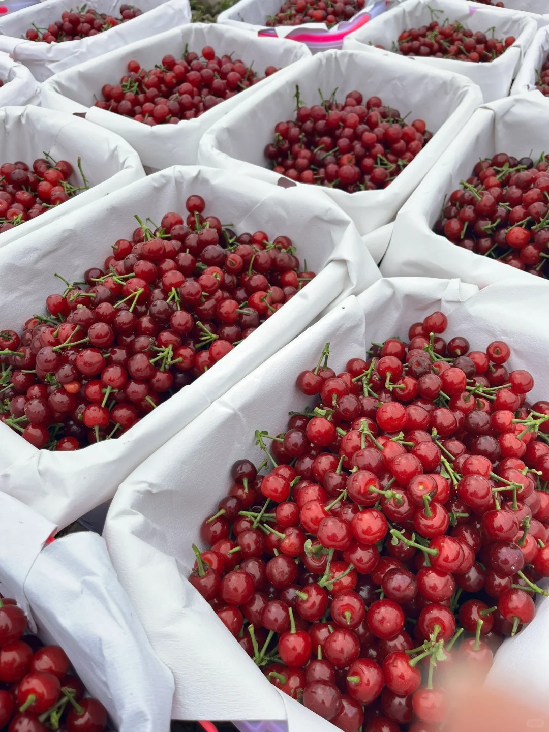 吃了一次乌皮🍒，它是我心里永远的神
终于等到了
乌皮小樱桃🍒
国产小樱桃王者
