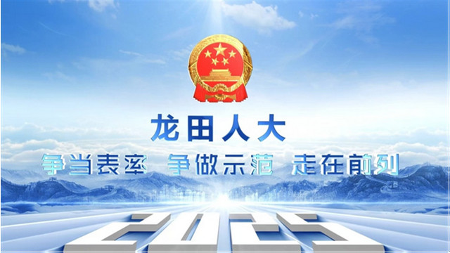 盘点2024“龙田人大”之高光时刻：从质效出发、向梦想奔跑