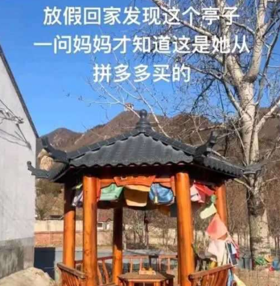 当你的妈妈学会了网购后...…