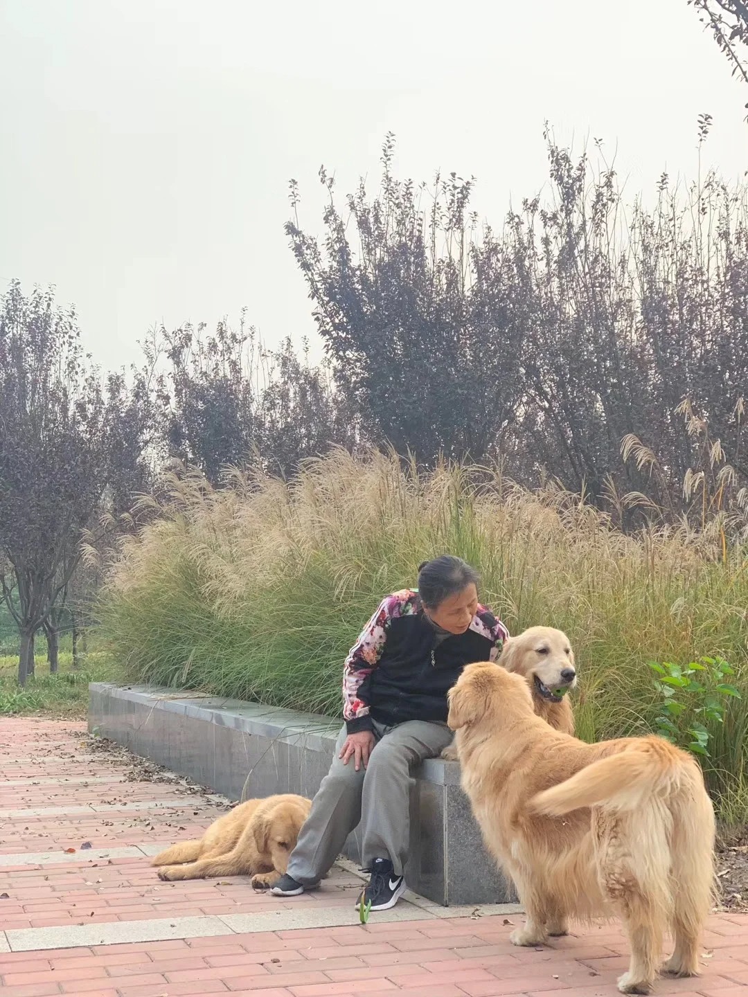 就好奇问问哈，没有针对谁，也没有讽刺谁～
当初，你们因为，对象不让养，老公不喜欢
