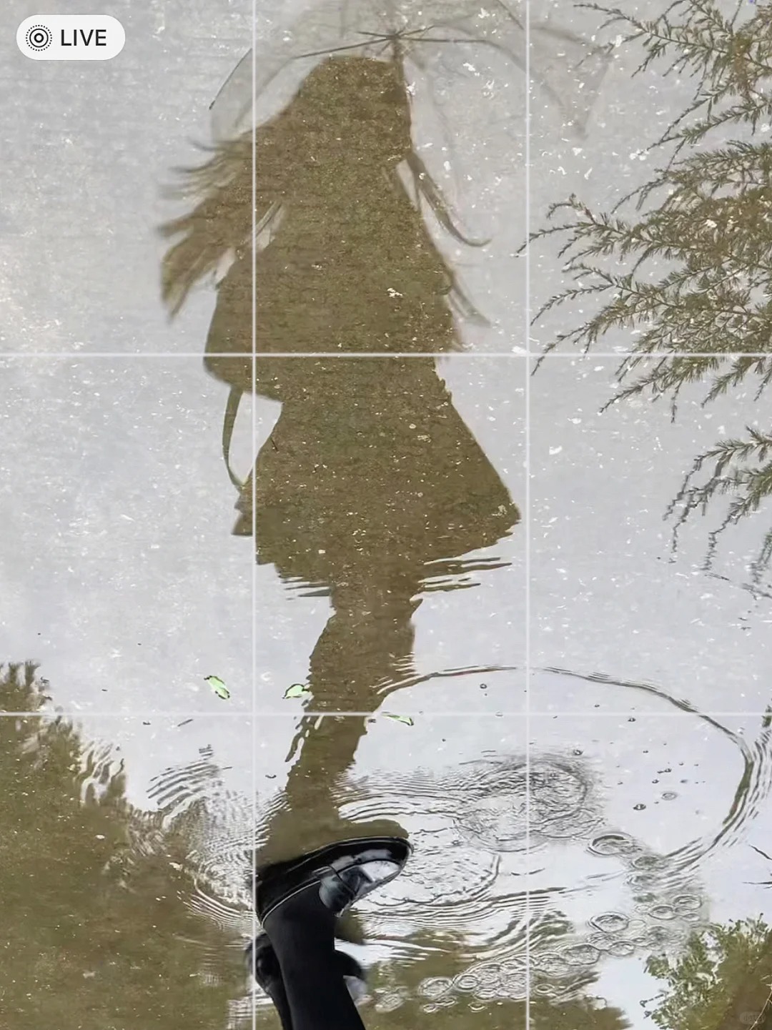 下雨天这样拍更好看!
“清明时节雨纷纷”喊上姐妹一起来拍雨天氛围感照片