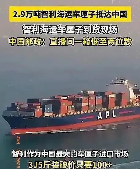 智利车厘子“漂洋过海来爱你”，你准备好了吗？
这个春节，智利的果农们可是下足了血