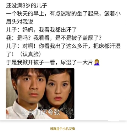 是个小机灵鬼