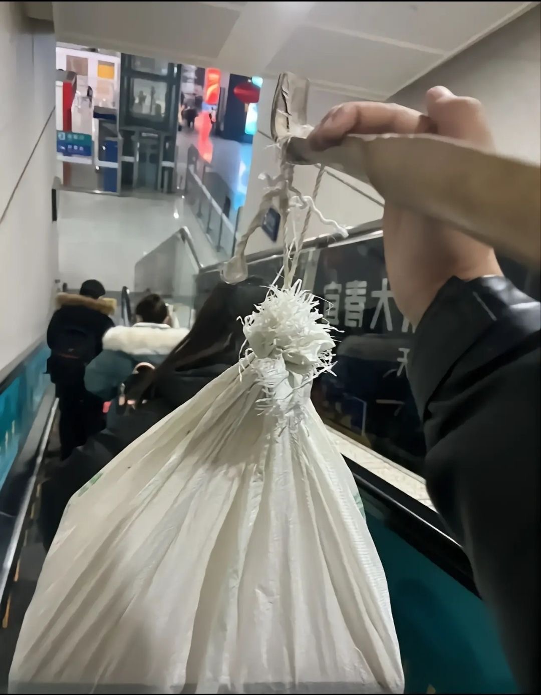 回家，最硬气的一年