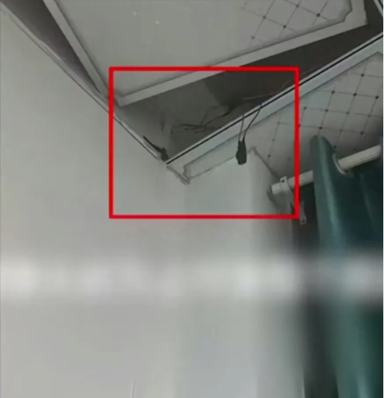 福建泉州，一名女子带着一条狗入住一青年公寓，下班回家后，拉上窗帘、脱光衣服与男友