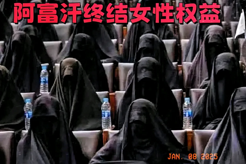 特讯！特讯！

阿富汗塔利班最高领袖哈伊巴图拉·阿洪扎达又发话了，阿富汗女性活动