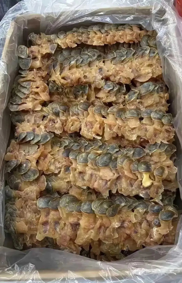 也不知道这东西谁送的？该怎么吃呢？