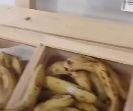 有运动员不相信巴黎奥运会真的会给所有人吃素食，结果一看简直就是暴击，

从照片上