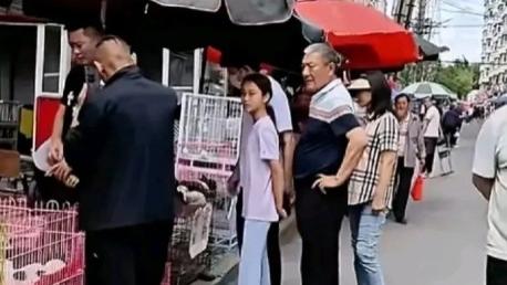 贾乃亮带甜馨回老家，爷爷罕见出镜满头白发，随行美女成焦点！