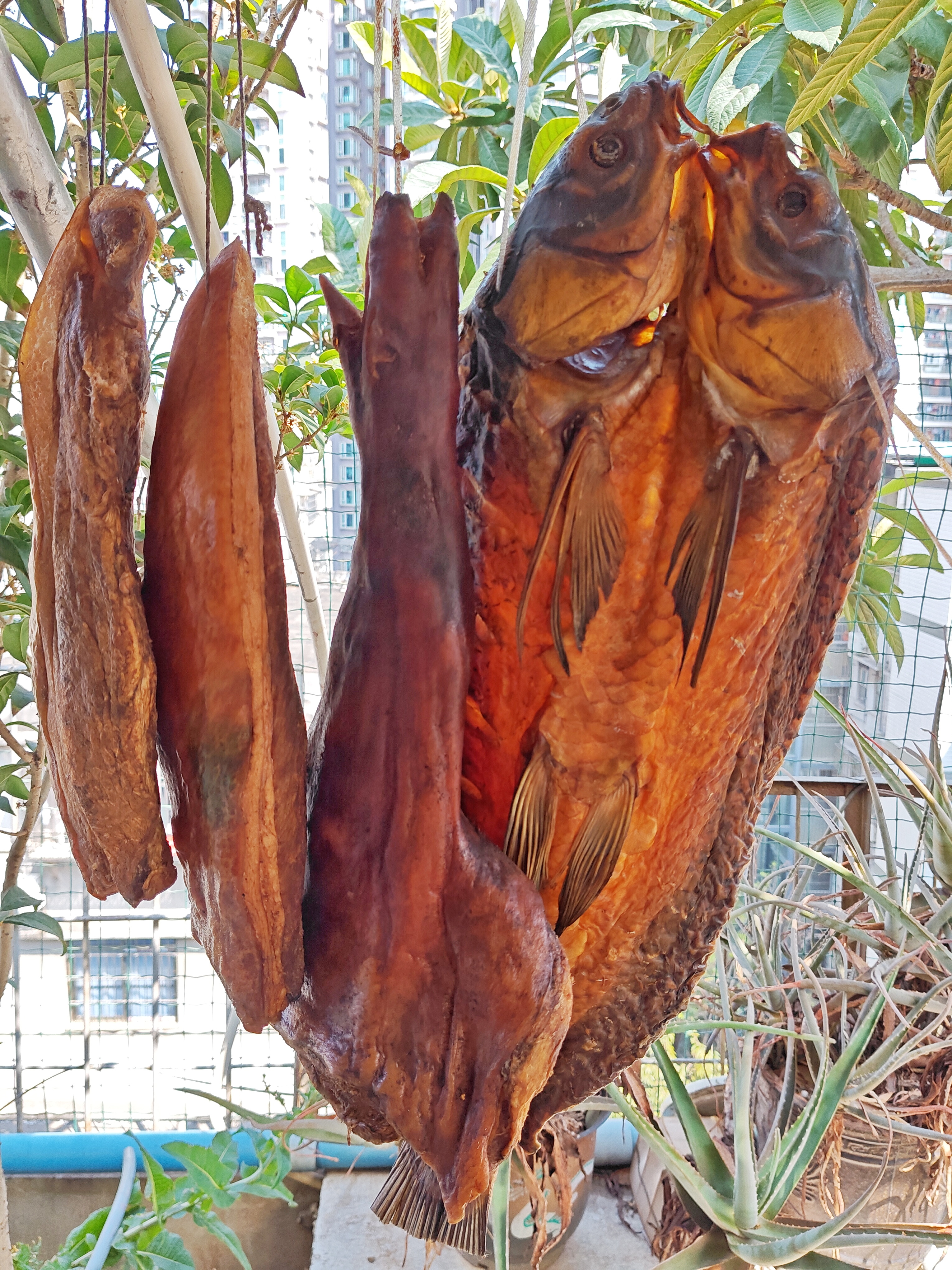 “年年有余”：生活富足，每年都有多余的财富及食粮！（并不容易）