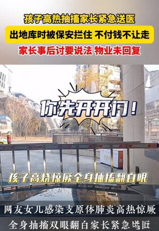 小区地库的一次突发事件引发了网友的热议：湖北某小区的一对夫妇驾驶汽车急着将高烧抽