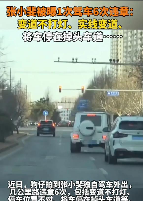 张小斐被曝1次驾车6次违章，如果她不是故意的，就是根本不会开车。但前几年她去学开