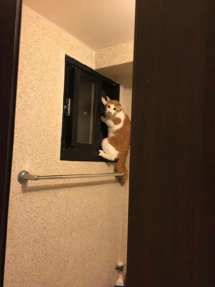 结果在慌张寻找之下