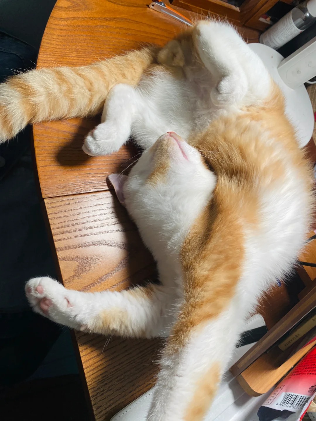 妖娆猫猫虫
桌子快容不下了 

