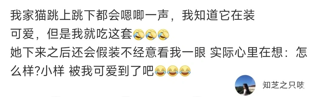 就吃小猫装可爱这一套