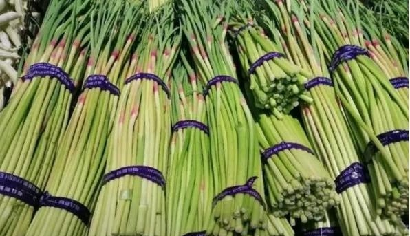 泡药蒜苔滞销 菜都不好卖

                          