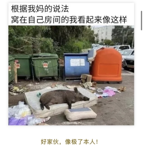 像极了本人