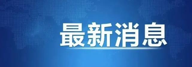 俄罗斯的外交部长拉夫罗夫最近发话了，说俄罗斯想重新搞一搞伊斯坦布尔协议的重要部分