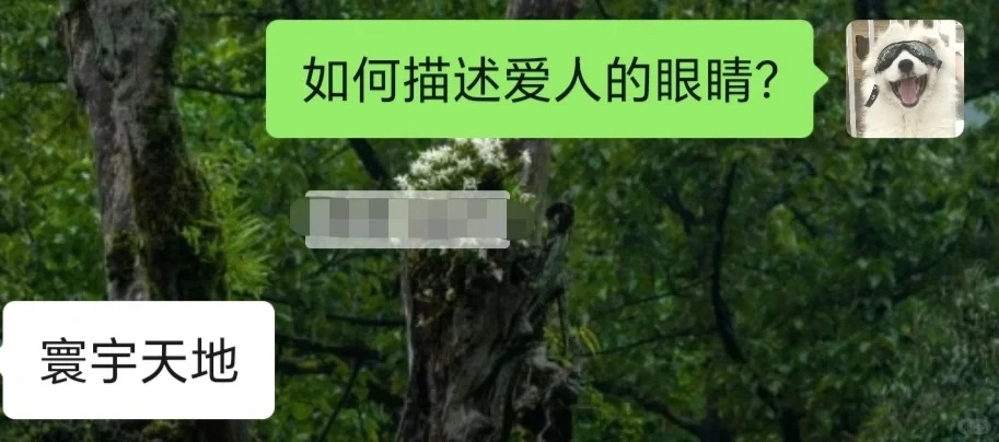 当开始双盲创诗
和青老师一些胡乱的东西，比如爱，风，梦以及小狗。