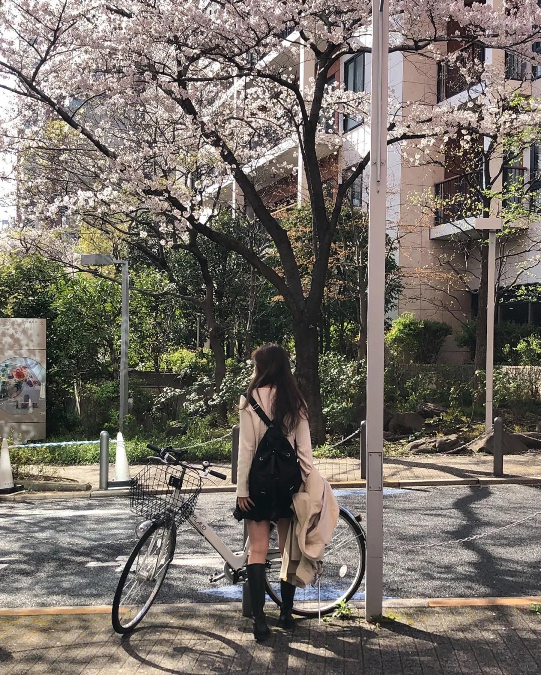 去年东京，在散步时偶然发现的樱花点
不是旅游景点的街道，也没有人，连沿途照进来的