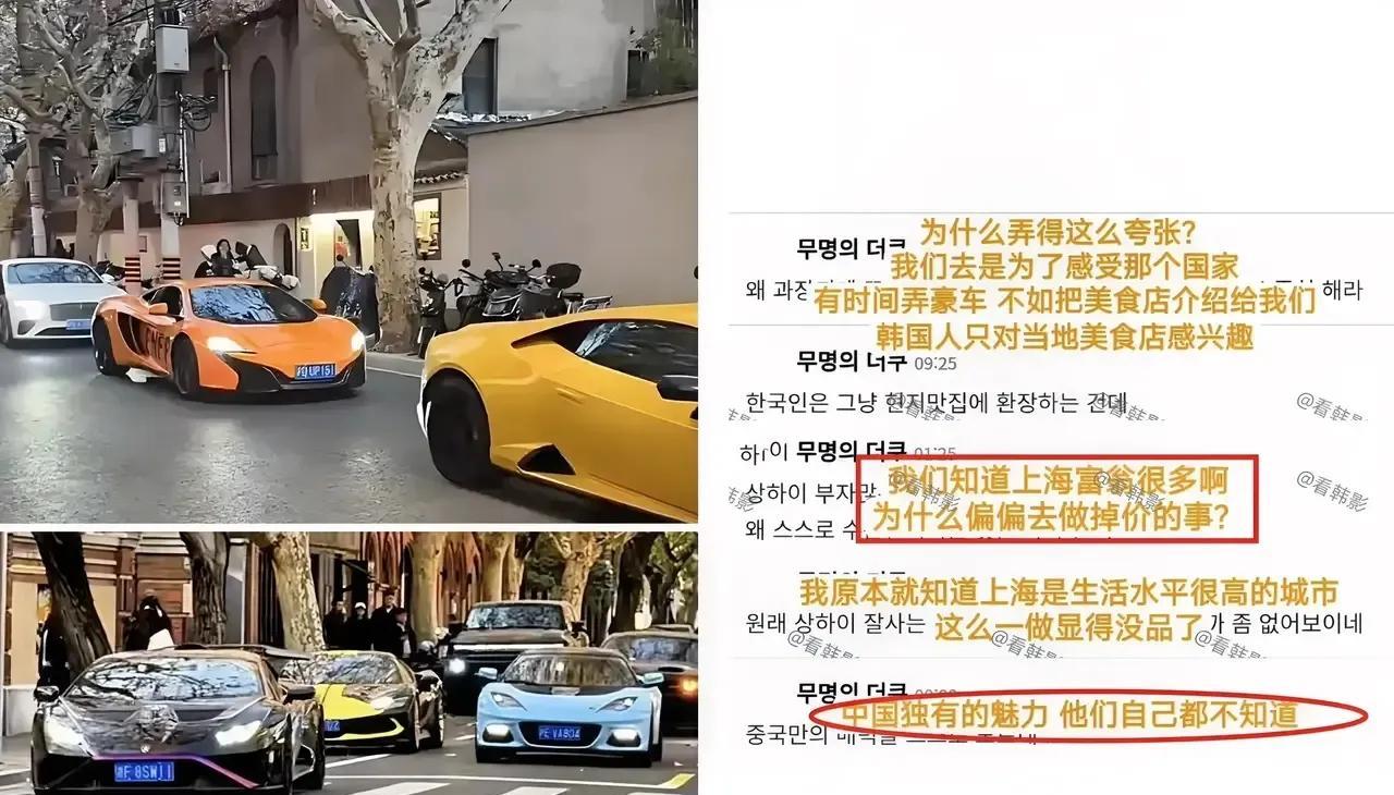 沪上的少爷小姐们，消停会吧，看看网上的韩国人是怎么酸咱们的吧！
韩国网友说：我知