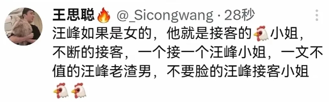 “汪峰小姐”:全中国谁都可以骂我，就你王思聪不行。