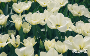 “我正在拥有真爱，你怎么反驳我吧。”“我会想问下你，你是哪一刻确定你拥有的这段爱是真爱的。”