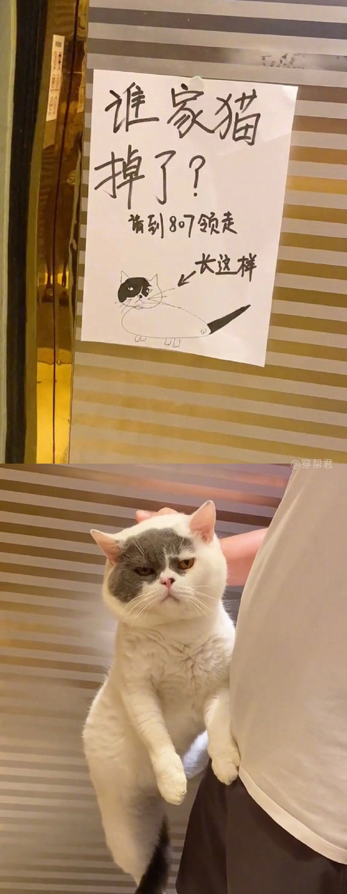邻居们的画功都十分了得啊！