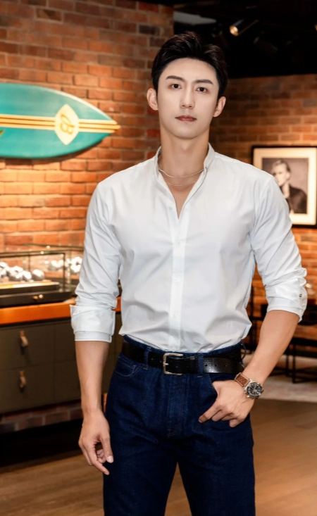 黄景瑜的演艺生涯