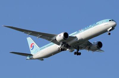 韩国发布航空安全新举措，全力防范鸟击风险