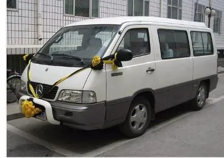 死都死不起了！四川一男子，在旅行途中突发疾病去世。妻子立刻联系殡葬公司运送遗体，