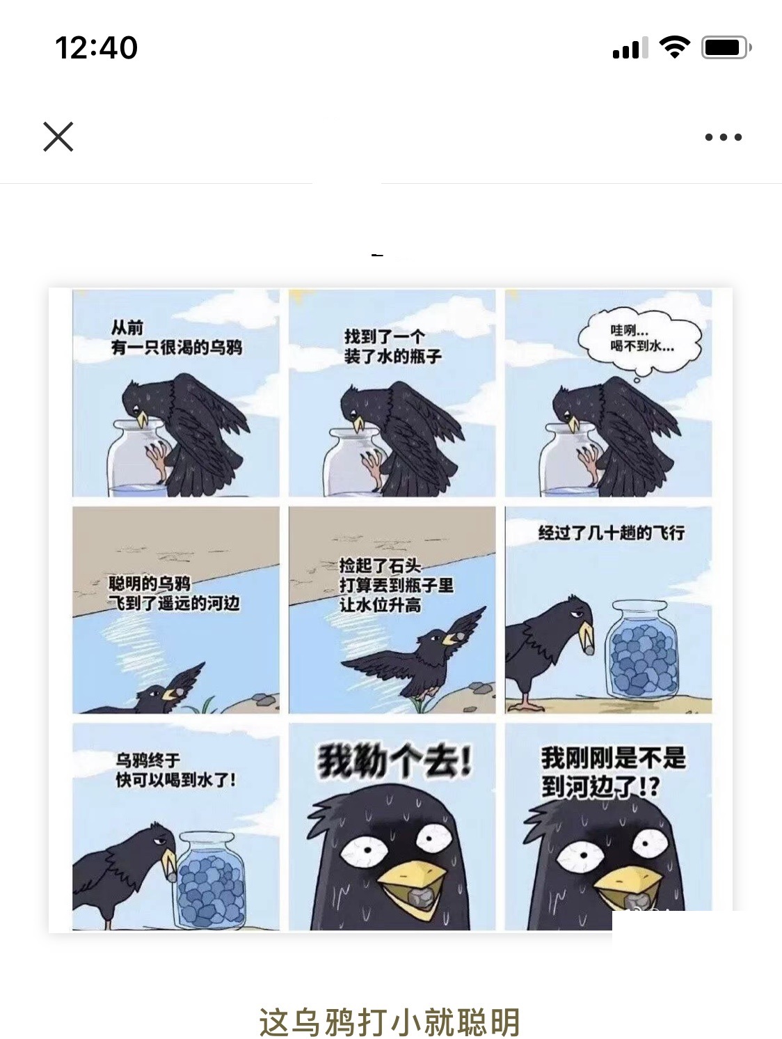 这乌鸦打小就聪明