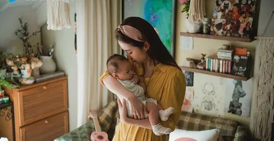 《玫瑰的故事》玫瑰花300元考教师资格证