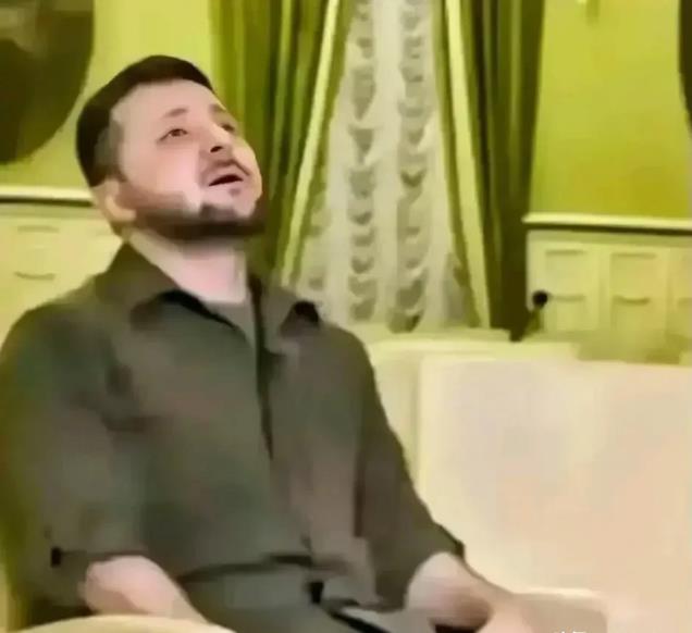 司机又被忽悠了？乌克兰总统泽连斯基和德国总理朔尔茨通电话讨论防务合作，朔尔茨表示