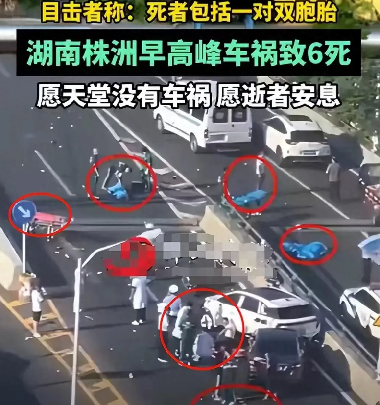 在湖南株洲芦淞大桥上，一场突如其来的交通事故如同晴天霹雳，瞬间击碎了一个原本充满