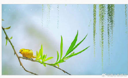 原来，今日是惊蛰，惊蛰好，妖邪之气最是怕雷。 ​