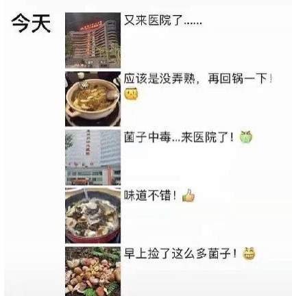 一是看完让人担心当地人精神状态的“癫系网红”、二是吃完让你想要加入他们的野生菌子