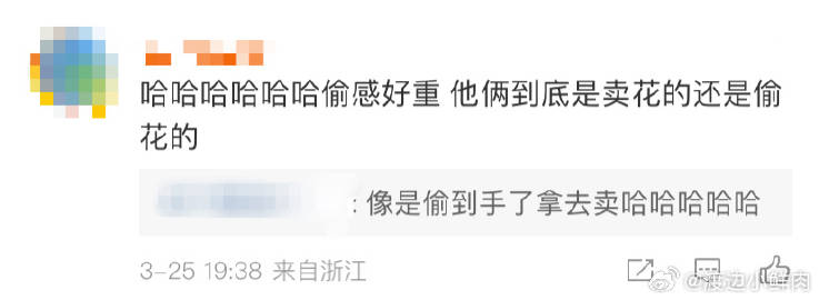 赵一博陈少熙 卖花的爆改偷花的哈哈哈哈哈哈哈哈看截图我真的要笑晕了，偷感好重的俩