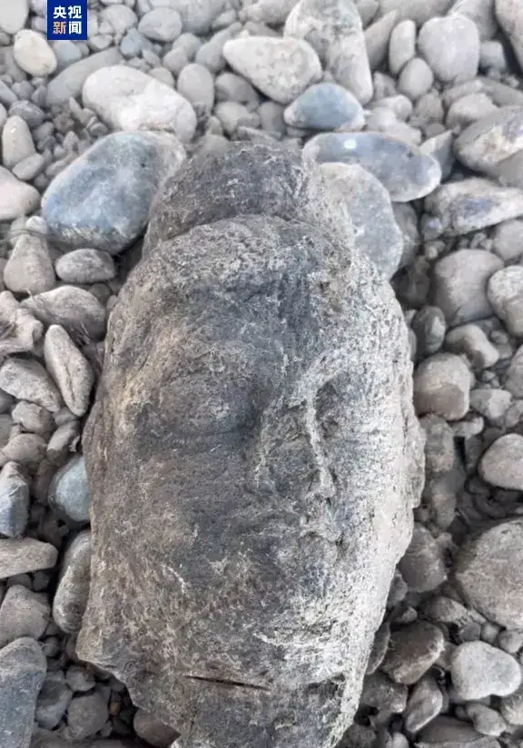 洛阳男子在龙门石窟附近钓鱼捡到佛头！专家正在鉴定中…