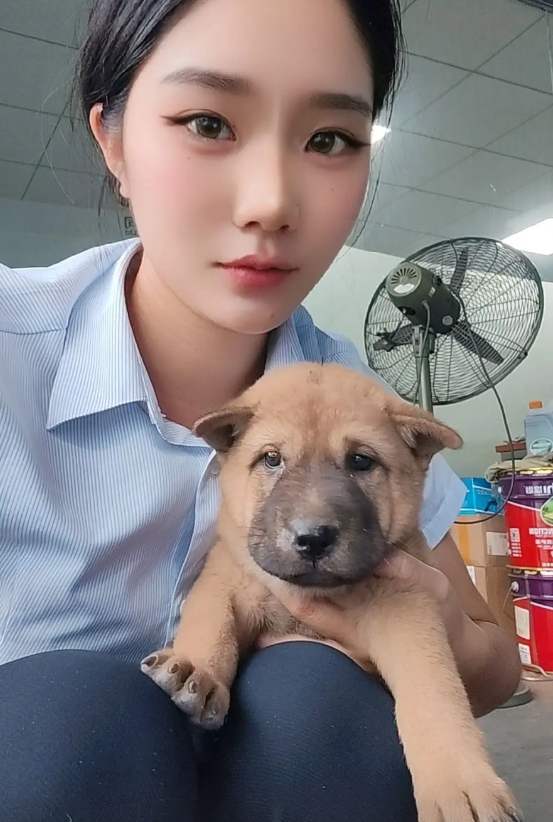 多亏了我弟弟，我这辈子有幸体验了一把从未坐过的豪华轿车，大家来猜猜是什么车，价值