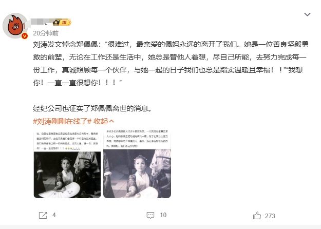 郑佩佩：“我是她的妈妈”“我相信她一定会赢”。

刘涛和郑佩佩的友谊真的让人羡慕