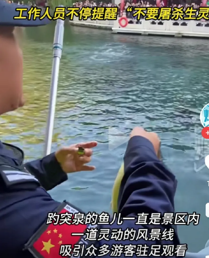第一次听说鱼还能被撑死，济南趵突泉的锦鲤火了，它们用自己的命，诉说了一个人为财死