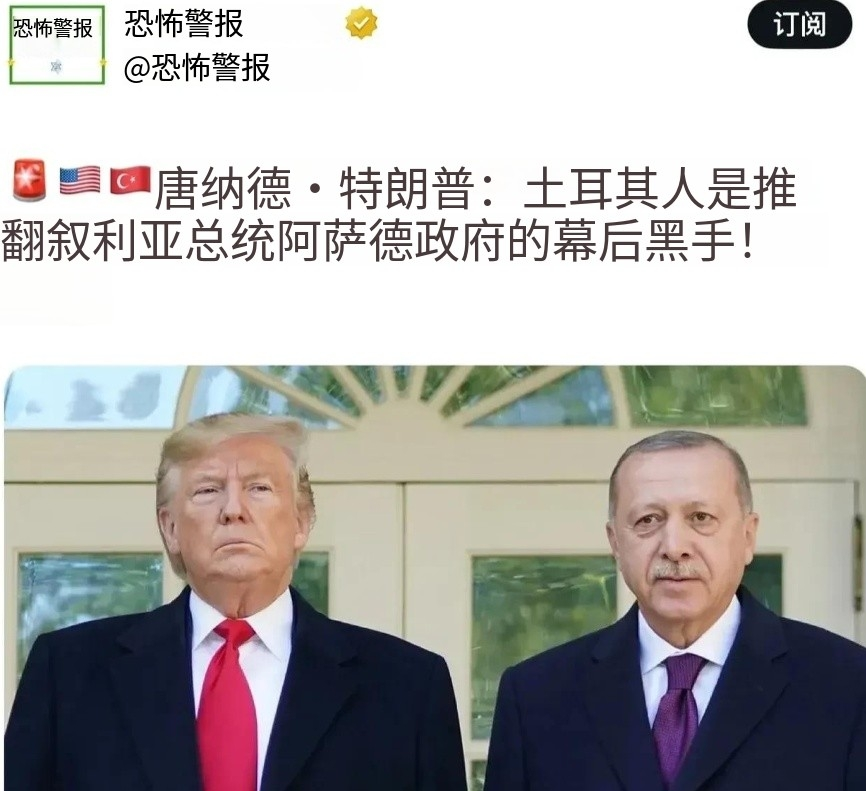 叙利亚大案破了，幕后推手就是土耳其！特朗普揭露了推翻巴沙尔政权的真相：土耳其精心