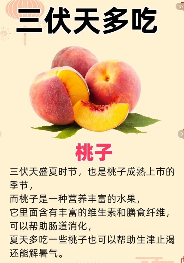 三伏天，也是桃子成熟上市的季节，

而桃子是一种营养丰富的水果，它里面含有丰富的