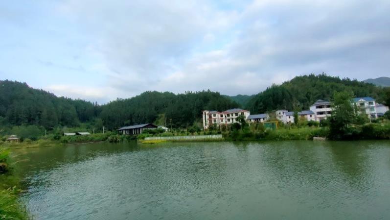 五十岁的人生智慧：如何在职业、社交、恋爱中止步