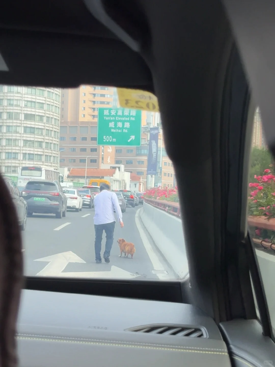 可怜的小狗狗😭😭😭救救大家帮忙转发！
求求大家帮忙！看到一只小狗狗跑在高价