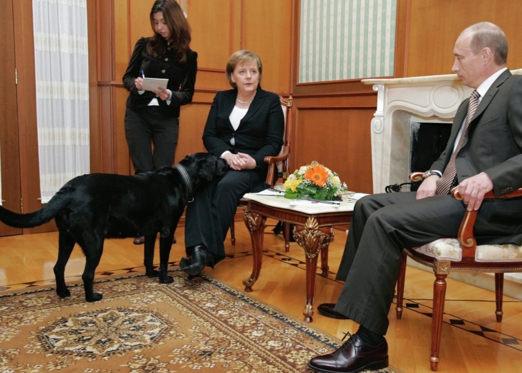 普京罕见道歉，背后竟有这隐情？
普京突然对美国前总统特朗普遭遇刺杀一事发声，直言